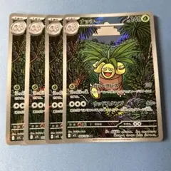ナッシー