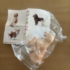 モザイヌ2(レトリバー)