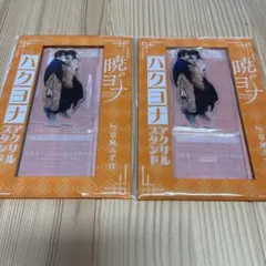 花とゆめ 10・11合併号付録 暁のヨナ ハクヨナ アクリルスタンド