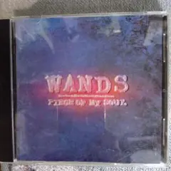 WANDS　PIECE OF MY SOUL