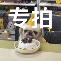 2025年最新】rIize ペンライト カバーの人気アイテム - メルカリ