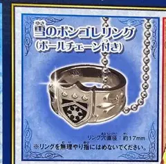 家庭教師ヒットマン REBORN! リボーン DS 特典 雪のボンゴレリング