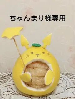 【ちゃんまり様専用】英語絵本2冊