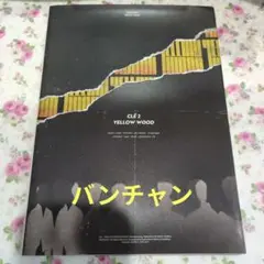 StrayKids バンチャン Yellow wood スキズ Stray Kids バンチャン トレカ yellow wood 黄色枠 レア｜Yahoo