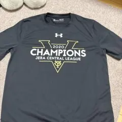 Item thumbnail for item 32a20fa1-82c5-4480-8682-5100949d474f