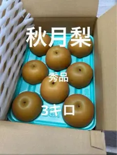 刹那様専用　秋月梨