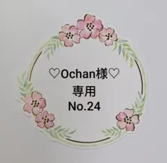 Ochan様♡専用★No.24☆コースター2点セット