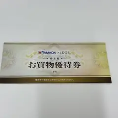 ヤマダ電機 お買物優待券 3000円