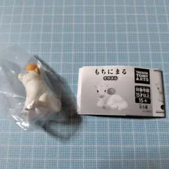 もちにまる　そのさん