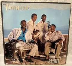 【プロモ盤】The Controllers Sleeping Alone