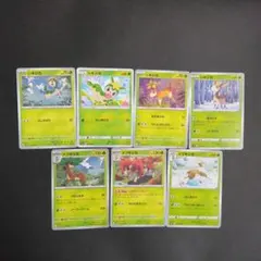 シキジカ進化系統まとめ売り　7枚のサムネイル