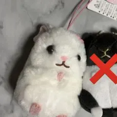 コロ葱(マロ)様　専用ページ