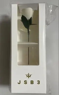 ⚠️お値下げ⚠️三代目JSoulBrothers KINGDOM グッズ