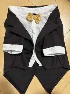 Item thumbnail for item b989a12b-e06c-4428-9e90-e7a14f1e3356