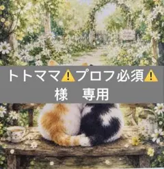 トトママ⚠️プロフ必須⚠️様　専用