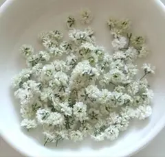 No,298☘️かすみ草のドライフラワー