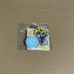 FANTASTICS 中島颯太 クリアチャーム ピンバッチ - メルカリ