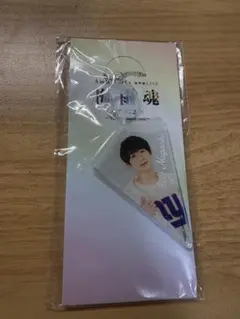 2025年最新】永岡蓮王 アクキーの人気アイテム - メルカリ