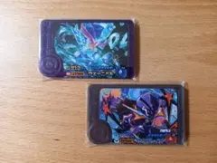 ポケモンフレンダ/ソウブレイズ+ウェーニバル+トレジャーピック2枚セット