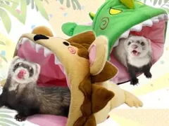 Item thumbnail for item ba3c4f53-d5a3-4680-80ee-aaf712fc8acc