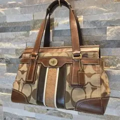 美品 希少 コーチ COACH エンボスド 10226 ハンドバッグ レザー - メルカリ