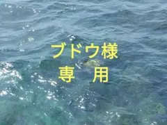 ダッフィー　ハンドメイドコスチューム　パーカー＆パンツ