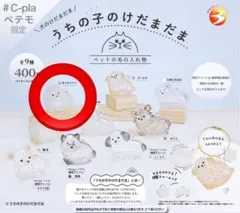 うちの子のけだまだま ポメラニアン①