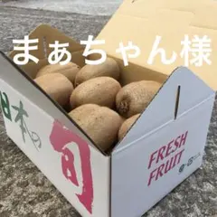 まぁちゃん様専用【二級品】和歌山県産キウイフルーツ 5〜7L 15個入り