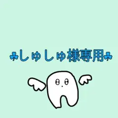 しゅしゅ様リクエスト商品