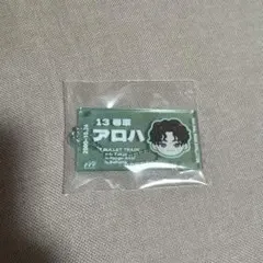 超特急アロハEVEチケットキーホルダー