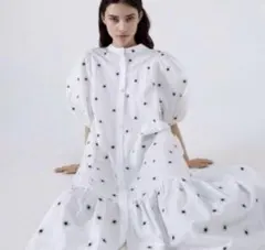 ZARA エンブロイダリー　フラワー　パフスリーブ ワンピース　刺繍