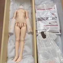 Item thumbnail for item 0902354e-cb89-464b-9186-f704b2a159f1