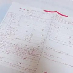 ゼクシィ9月号 婚姻届 ピンク