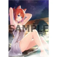 レスレリアーナのアトリエ ソフマップ特典 新品未開封