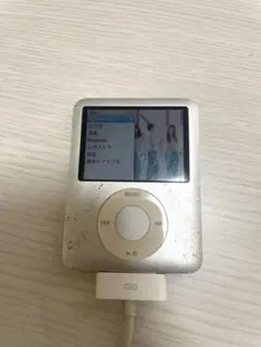 Apple iPod 本体