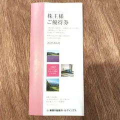 東急不動産ホールディングス　株主優待券