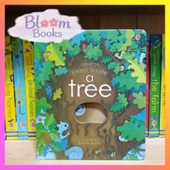 Peep Inside a Tree ボードブック　しかけ　英語　絵本