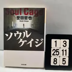 ソウルケイジ 1-3*25.8*5