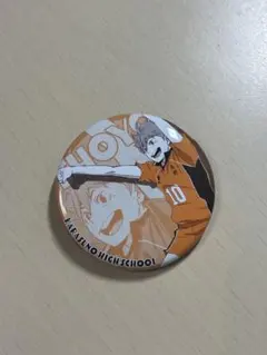 ハイキュー　日向翔陽　缶バッジ