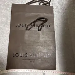 LOUIS VUITTON ショッピングバッグ 2個セット