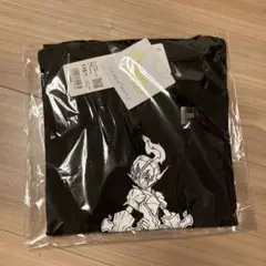 匿名配送❄︎ポケモン UT Tシャツ 110ソウブレイズ新品未使用