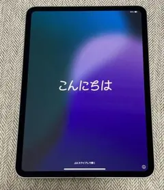 美品 iPad Pro (M4)11インチシルバー 1TB ペンシル、ケース付き