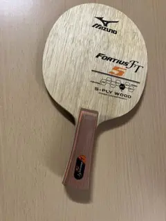 ミズノ　フォルテイウスFT5（83g）