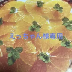 えっちゃん様専用
