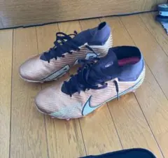 Item thumbnail for item 612455e7-1bb2-4f05-bf95-8769d5ed87f9