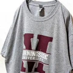 ギルダン モーニングサイド大学 デカロゴ Tシャツ グレー灰色L古着