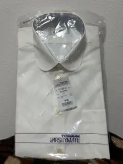 Item thumbnail for item 102c0e5c-e1e7-4650-aeb5-e9407d1b00db