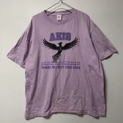 米軍放出品 AEIS FIREBIRDS Tシャツ ＃MOMC2026 XLのサムネイル