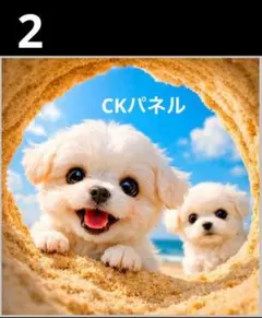 オーダーページ　ハンカチ305 わんこさん柄ハンドメイド3/31