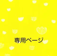 あっきーな様 リクエスト 3点 まとめ商品